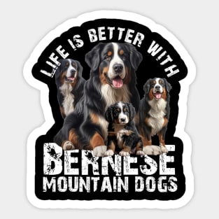 Bernese mountain dogs Sticker